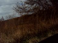 Бирзулове - Останні фото