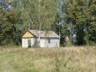 посеред лісу..