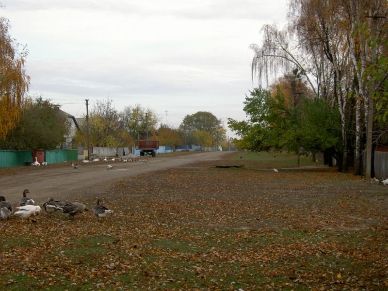 Наше село - Giltsi