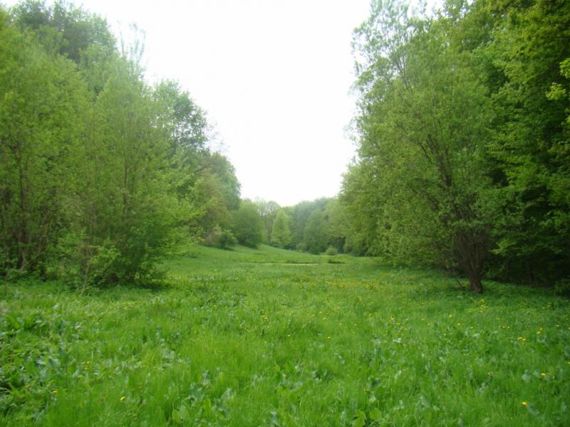 Наше село - Giltsi