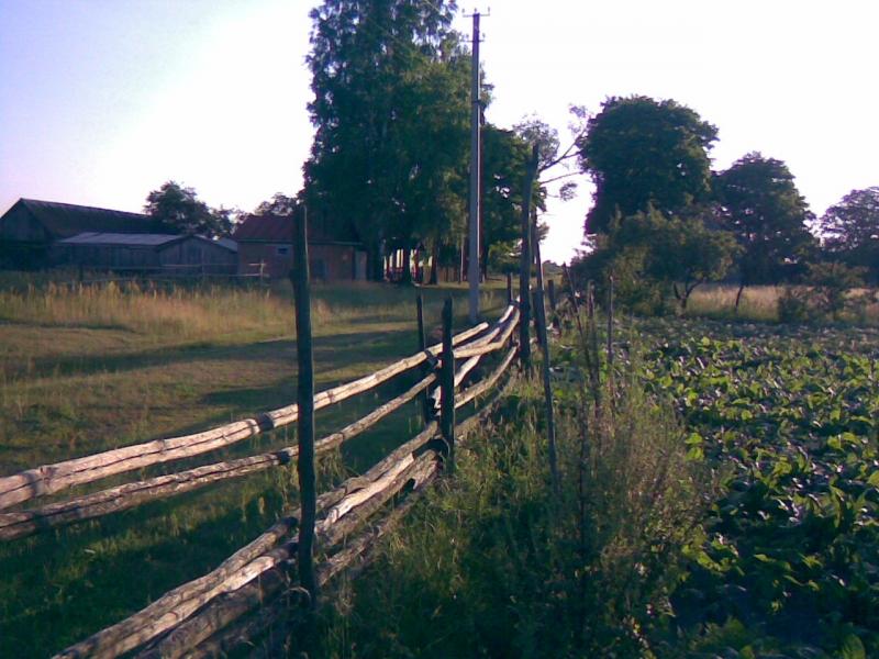 Турівка - Турівка