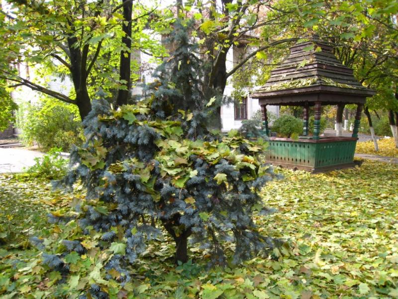 Будинок творчості письменників - Ірпінь
