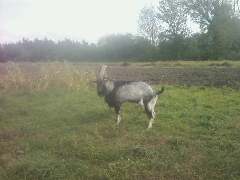 Багатківці  і околиці  села - Багатківці