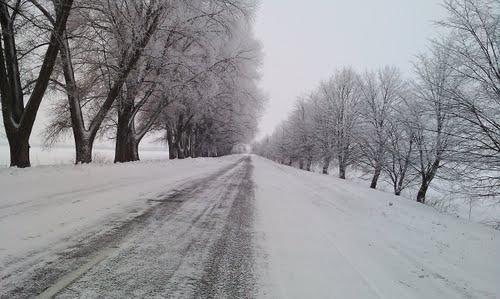 Стайки - Стайки