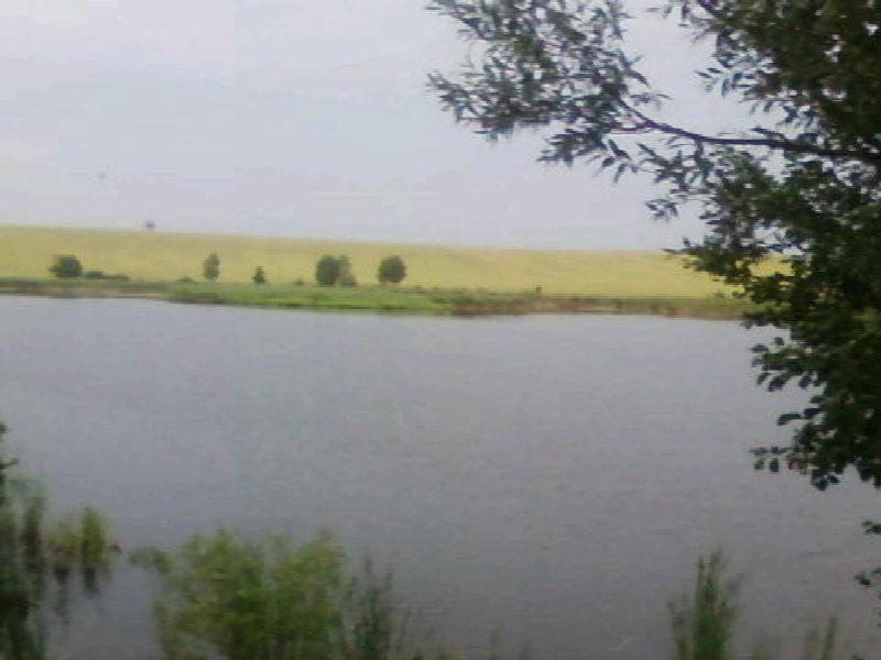 Медівка - Медовка