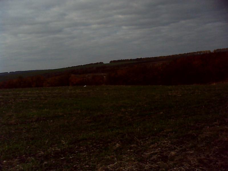 Бирзулове - Бирзулове