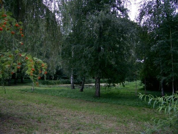 Природа Ніжина - Ніжин