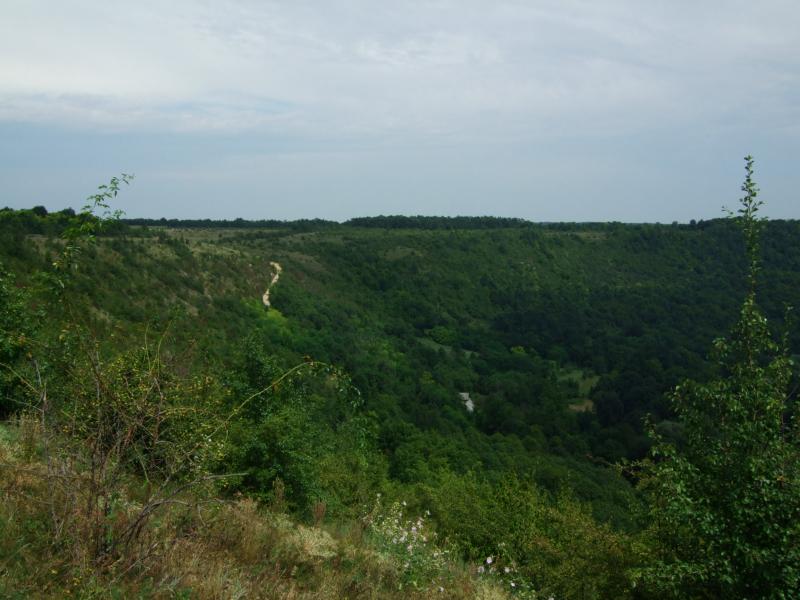 Стіна та стіняни - Стіна