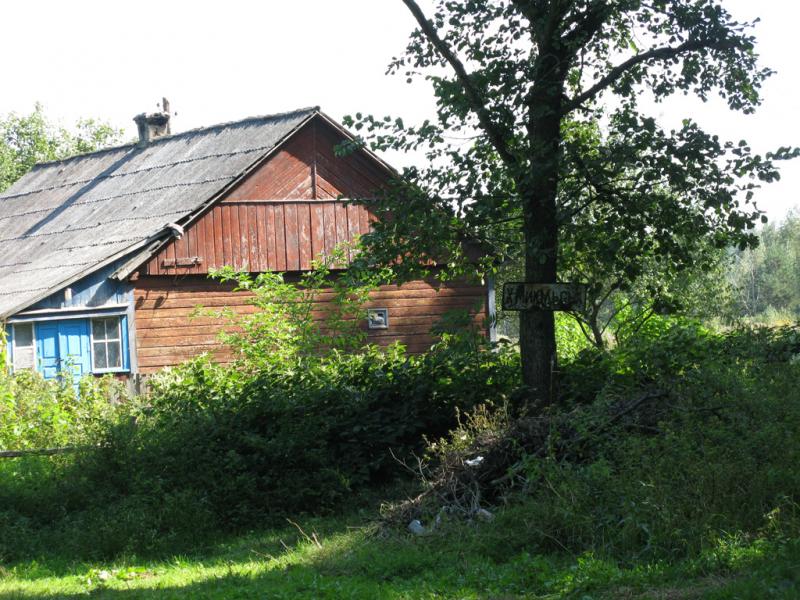 посеред лісу.. - Микільськ