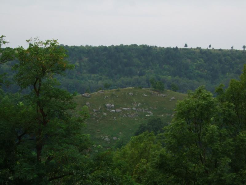 Стіна та стіняни - Стіна