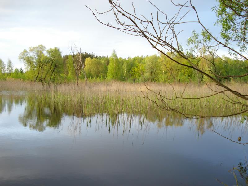 Сядрино - Сядрино