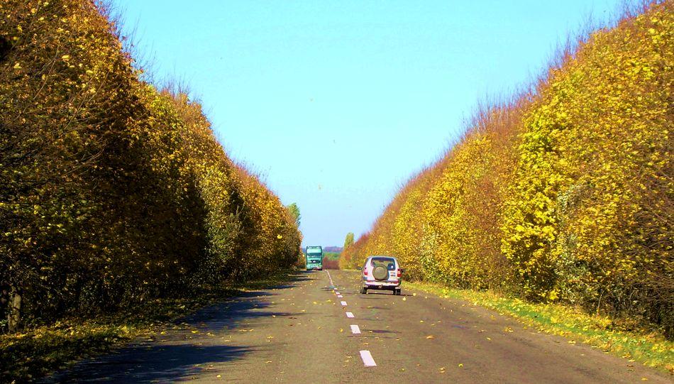 Ивчанские этюды - Івча