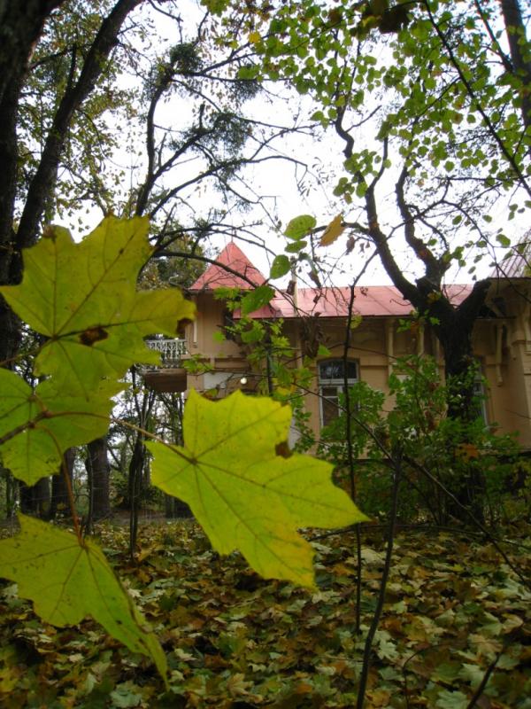 Будинок творчості письменників - Ірпінь