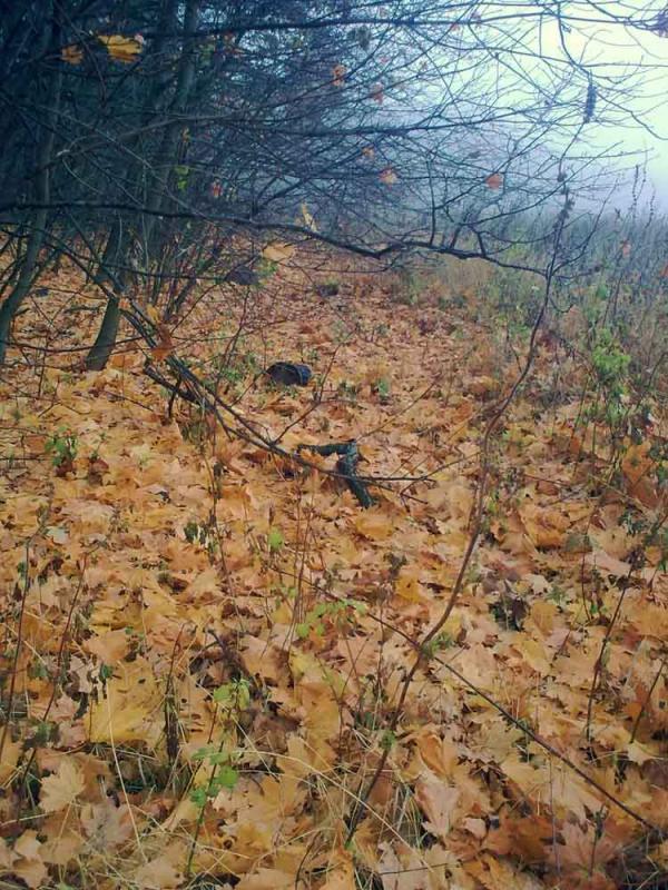 Барви осені - Ivanytsya