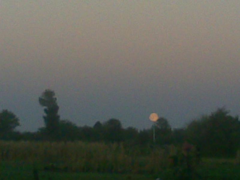 Андрей - Непедівка