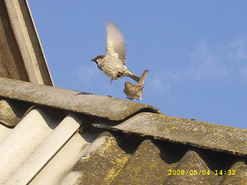 Текуча - Текуча