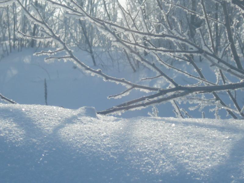 Сядрино - Сядрино