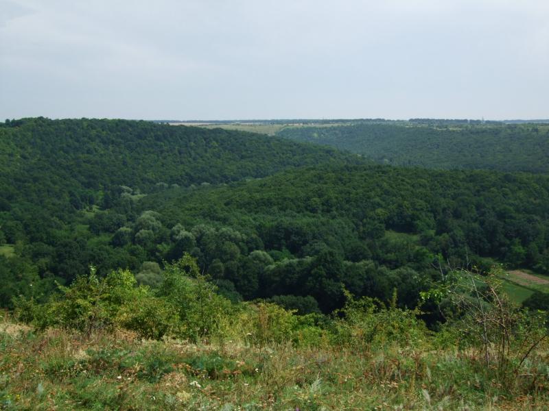 Стіна та стіняни - Стіна