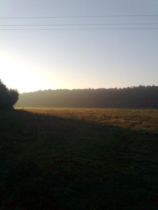 козулi - Норинськ