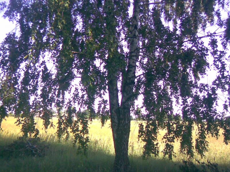 Турівка - Туровка
