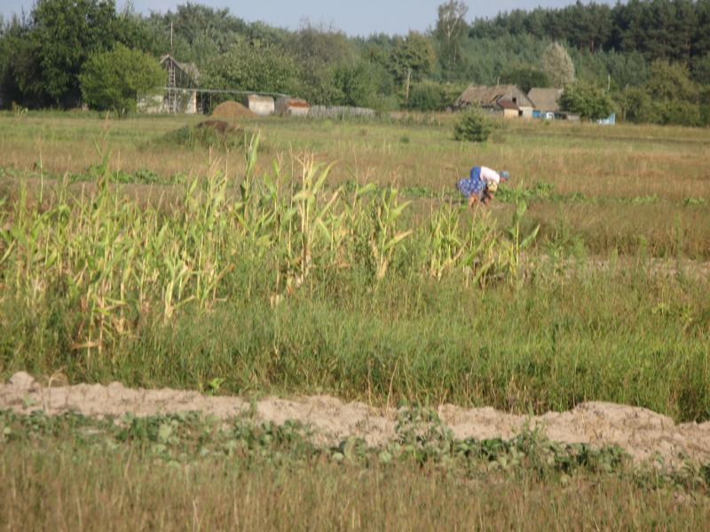 Польське село в Поліссі - Станіславівка