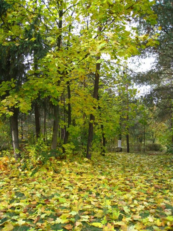 Будинок творчості письменників - Ірпінь