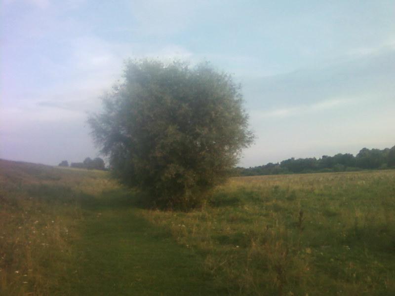 Багатківці  і околиці  села - Багатківці