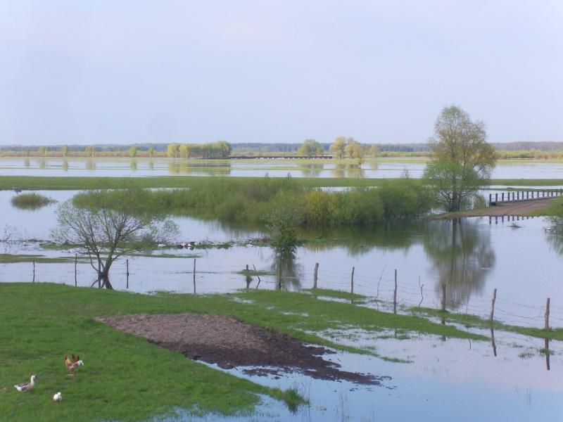 Моє рідне село - Nemovychi