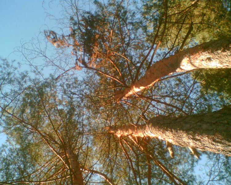 Рыжаны - Рижани