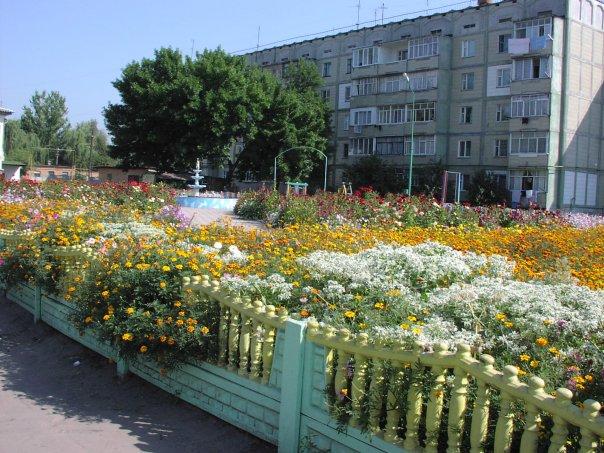 Природа Ніжина - Ніжин