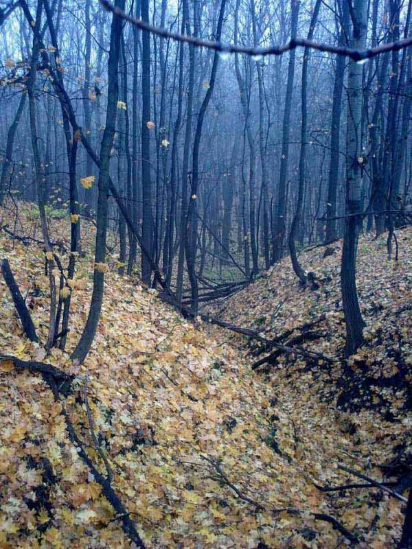 Барви осені - Ivanytsya