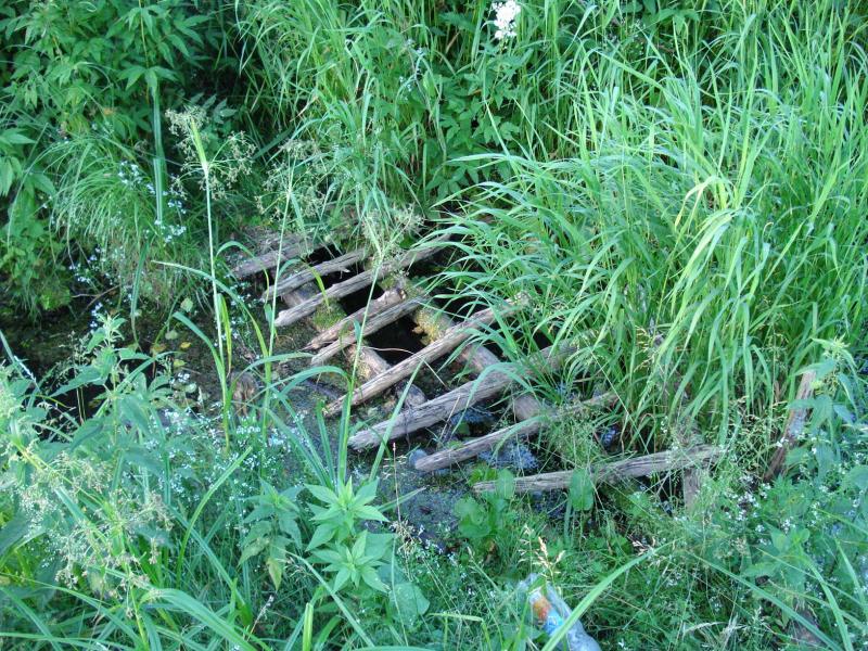 Сядрино - Сядрино