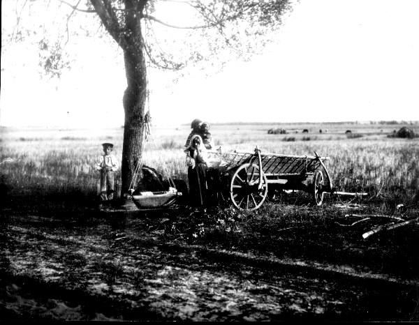 експедиція Ф.Вовка - Пакуль