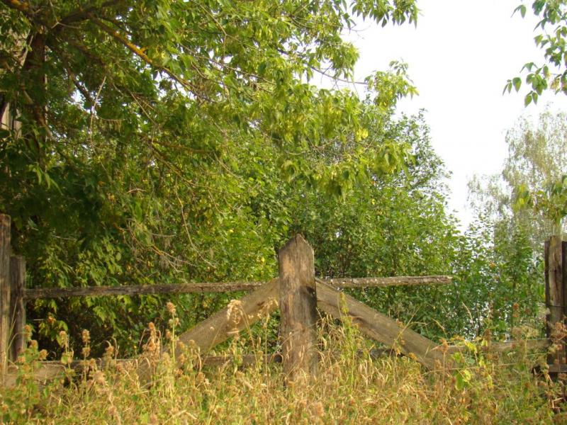 Фото села, в якому вже ніхто не живе... - Богдановка