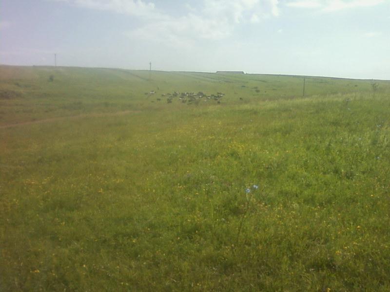 Багатківці  і околиці  села - Багатківці