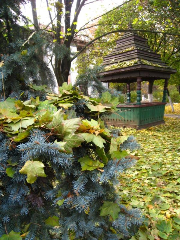 Будинок творчості письменників - Ірпінь