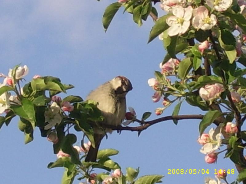 Текуча - Текуча