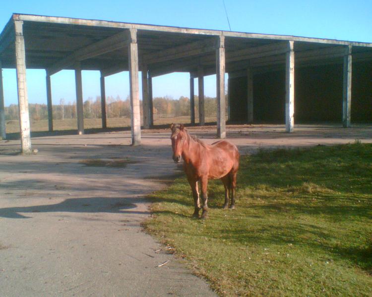 Рыжаны - Рижани