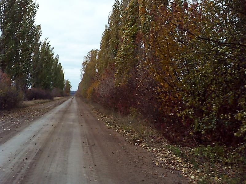 Бирзулове - Бирзулове