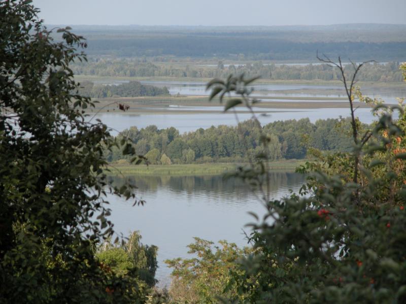 Стайки - Стайки