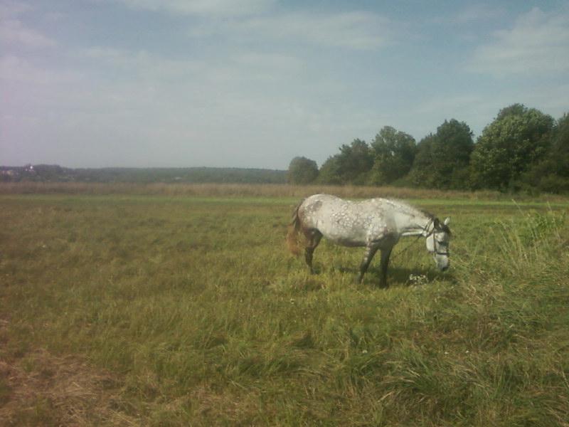 Багатківці  і околиці  села - Багатківці