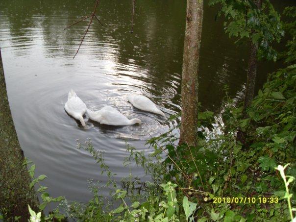 смт.Томашпіль - Томашпіль