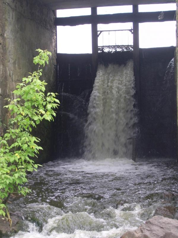 Текуча - Текуча