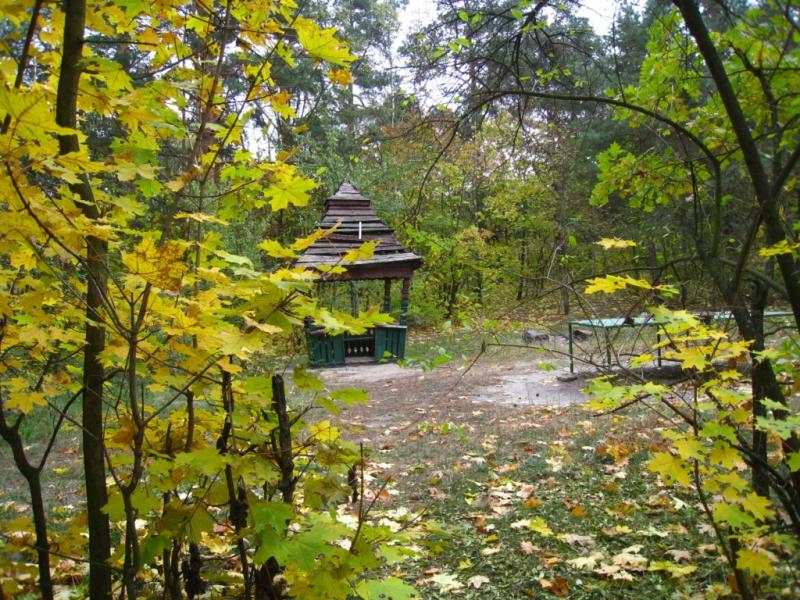 Будинок творчості письменників - Ірпінь