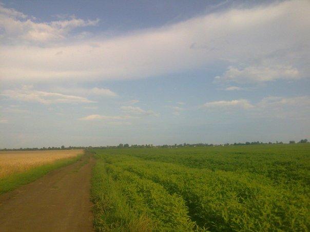 сучасний Б.Рукав - Білий Рукав