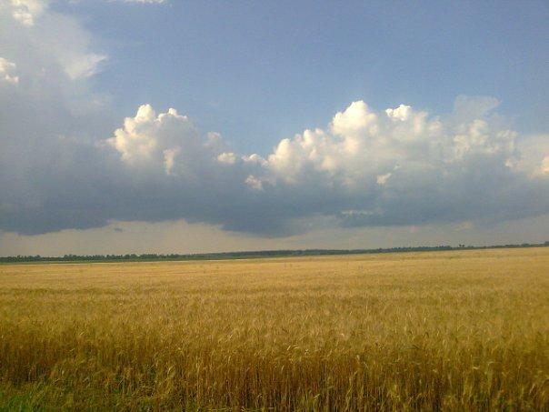 сучасний Б.Рукав - Білий Рукав