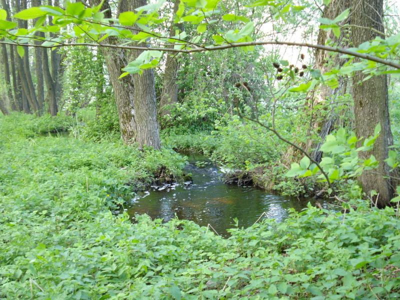 Сядрино - Сядрино