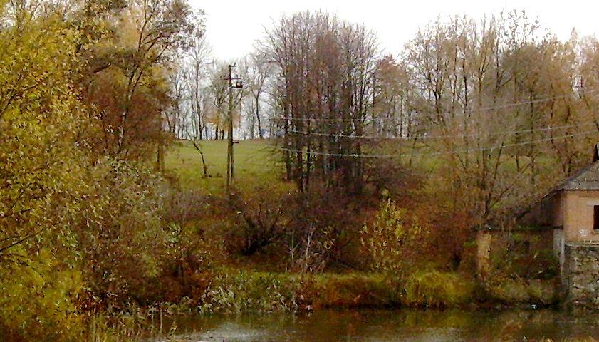 Золотые листопады - Івча