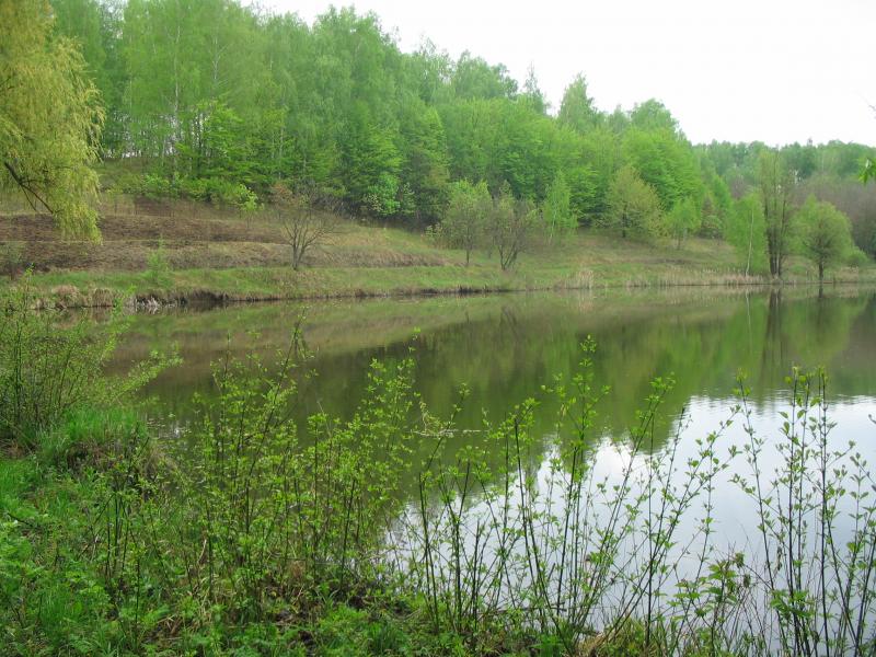 Товсті Роги - Товсті Роги