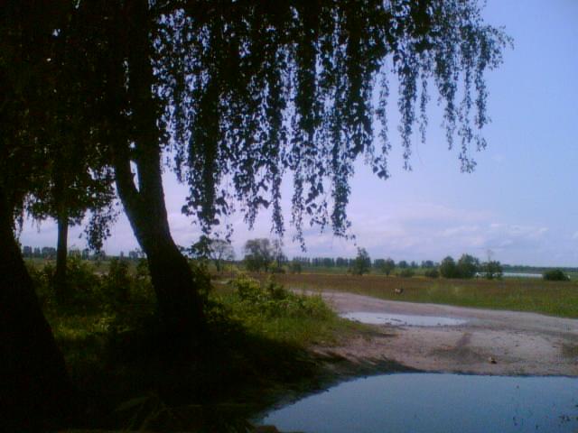 Kраєвиди равського - Равське